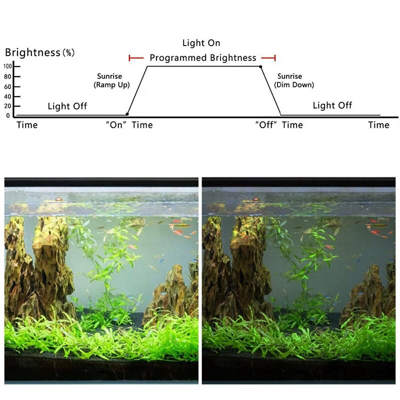 Clever LED Aquarium Licht Timer Regler Dimmer Modulator Aquarium Licht Regler und Dimmer