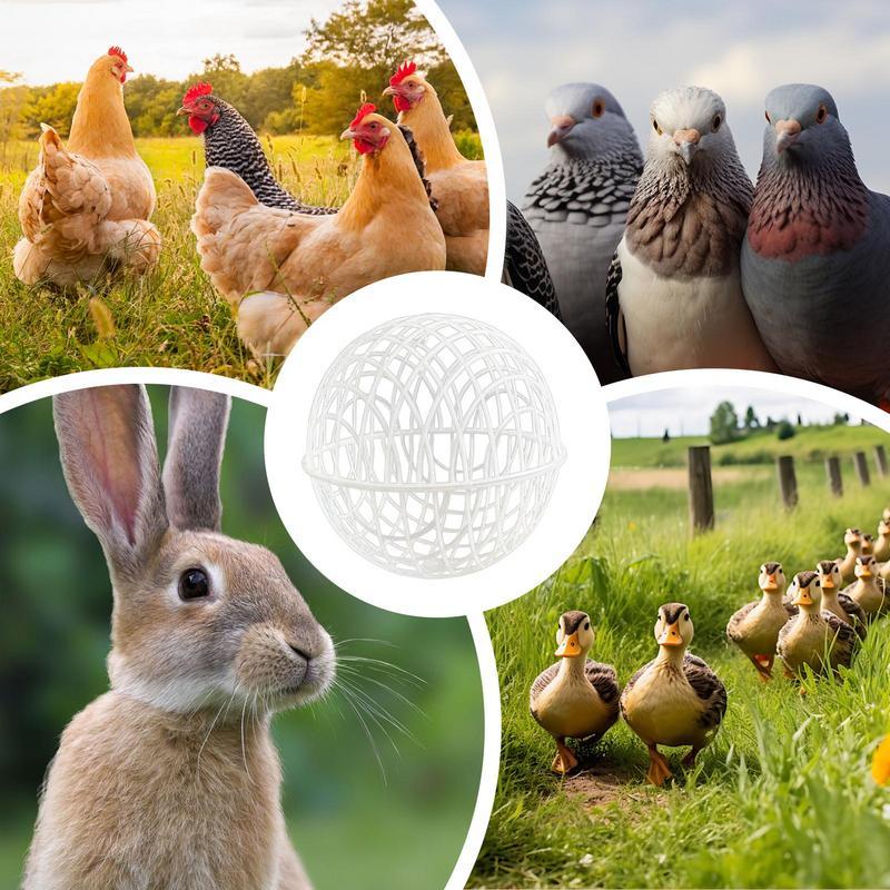 Gaiola de bola de rolamento de frango 3 peças gaiola de segurança para animais de estimação gaiola esférica de bola de orbe de frango em forma de bola gaiola de frango esférica