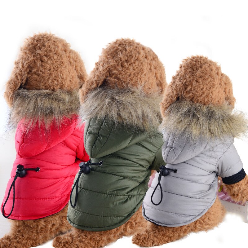 Down Jas Voor Huisdieren Katoenen Jas Herfst En Winter Puppy Jas Twee-Legged Katoenen Jas Voor Kleine Honden
