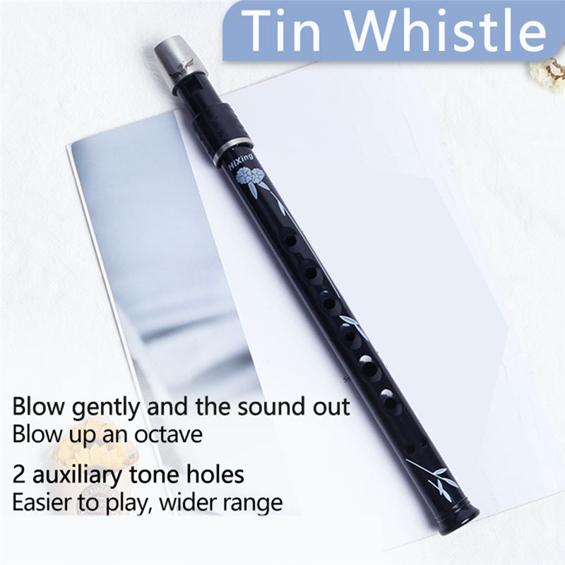 6- -hole irish tin penny whistle with case, key of cd, flute, whistle, instrument, woodwind instrument, for music lovers