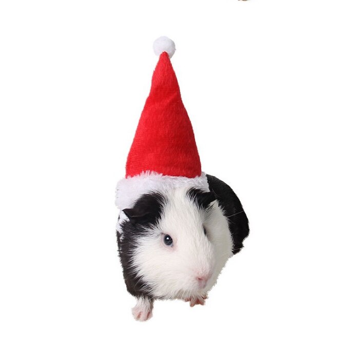 Kæledyr jul hat julemanden cap hoved tilbehør til kanin hamster marsvin rotter killing kitty og små dyr: Xiaoc 003