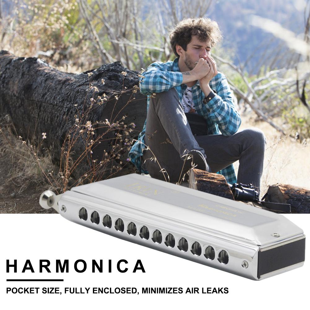 12-Hole 48-Tone Chromatic Harmonica for Beginner Musical Instrument