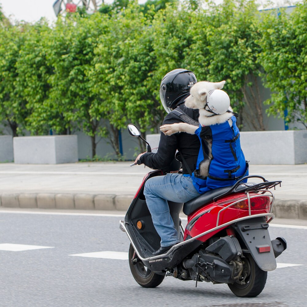motos sacs à dos pour animaux de compagnie voyage moto sac pour animaux de compagnie adapté aux chats chiens animaux de compagnie