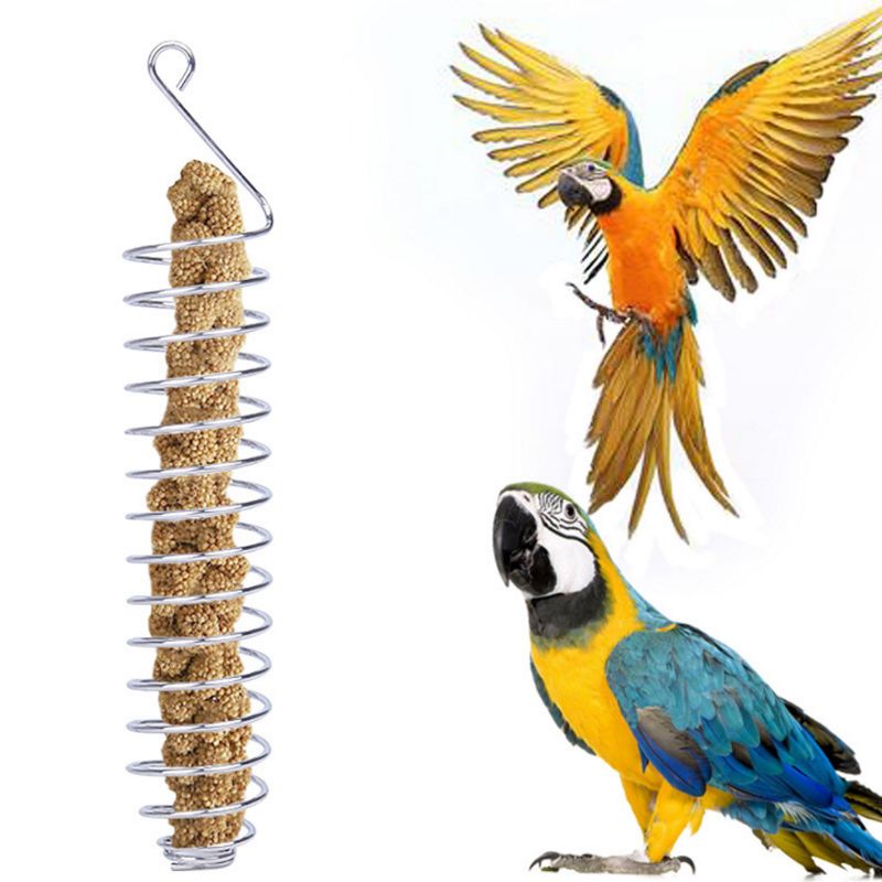 Stainless Steel Bird Parrot Feeder Food Fruits Basket Holder Foraging Equipment Bird Cage Feeding Device Birds Training Toy