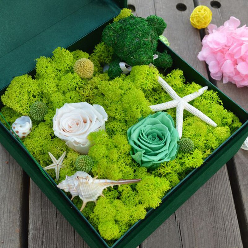 40g kunstig grønn plante mose diy bakgrunn vegg hage hjemmedekorasjon mini mikro landskap tilbehør