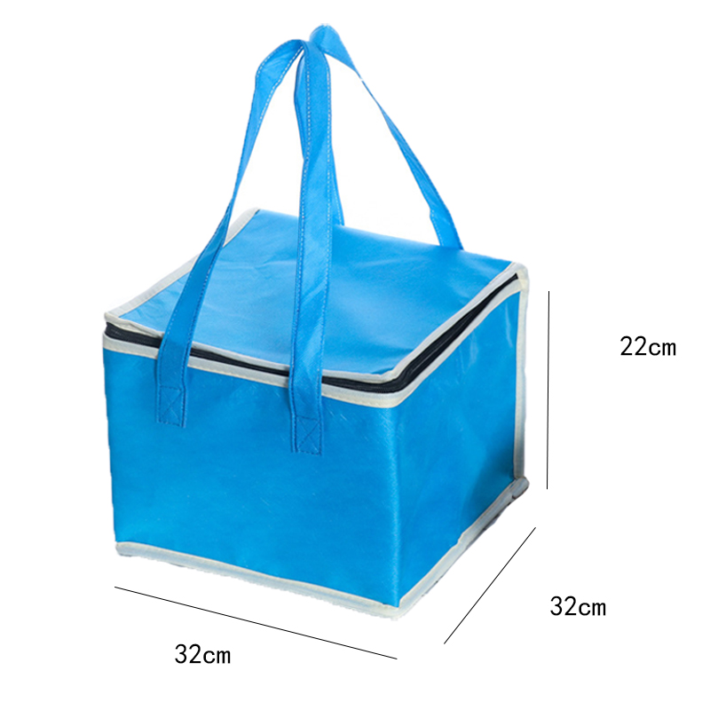 Outdoor Camping Picnic Bag Waterproof Insulated Thermal Cooler Bag Portable Folding Picnic Lunch Bags Big Picnic Basket: Blue-9 Inch