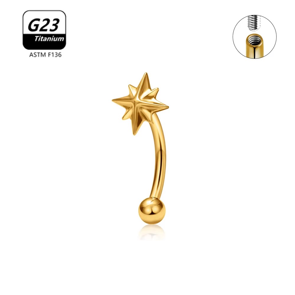 G23 Titanium ASTM-F136 interne draad Wenkbrauw Piercings Lichaam Sieraden Voor Vrouwen zirkoon Oorbel Ster Bloem Hart