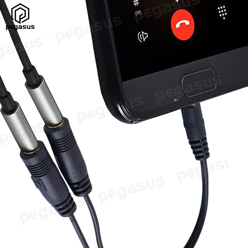 Câble Audio stéréo TRRS DC 3.5mm, 2 pôles mâle vers 2x3.5mm, pour Microphone d'ordinateur, 20CM