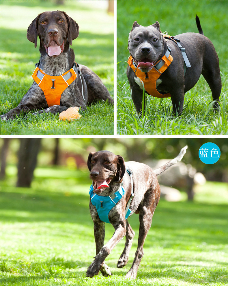 Reflecterende Huisdier Harnas Hond Accessoires Pet Dog Training Vest voor Medium Grote Grote Honden Verstelbare Outdoor Harnas Pitbull 8813