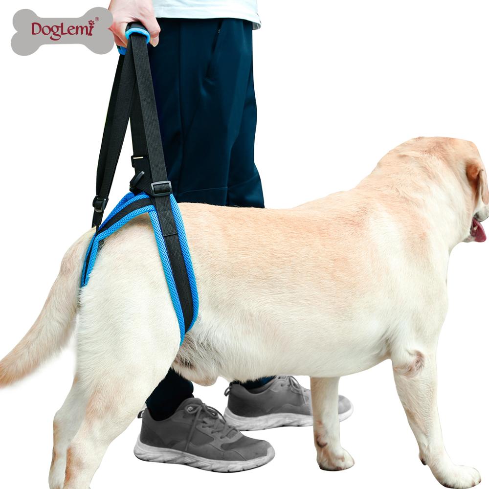 Harnais de levage réglable pour chien, pour les pattes arrière, Support pour animaux de compagnie, écharpe pour les jambes faibles, outil d'assistance pour les chiens