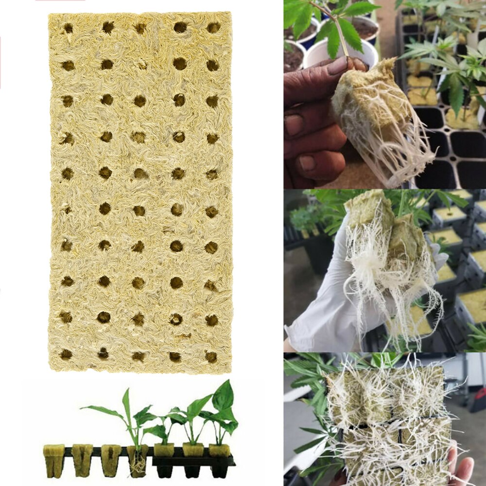 50Pcs Rockwool Block Seedling Sheet Root Growing Box Propagation Seed Raising Soilless Cultivation Hydroponic Rockwool Cubes