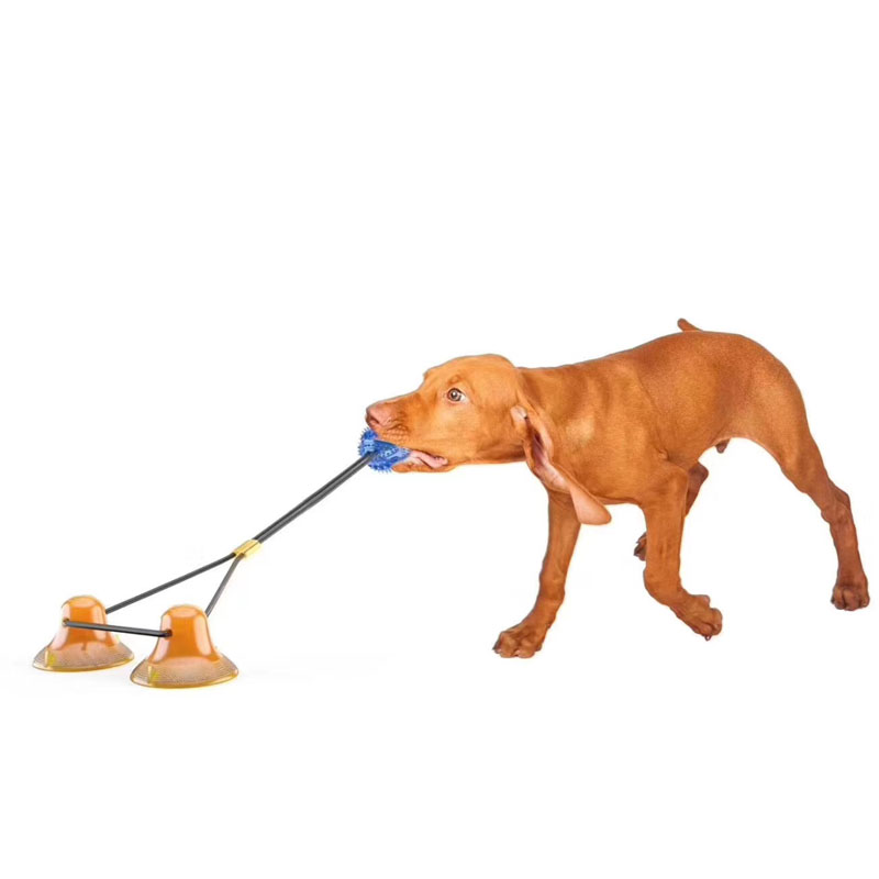 Dobbelt suge-træning hundelegetøj aggressive chewers bidfast træning interaktivt hundelegetøj tilbehør