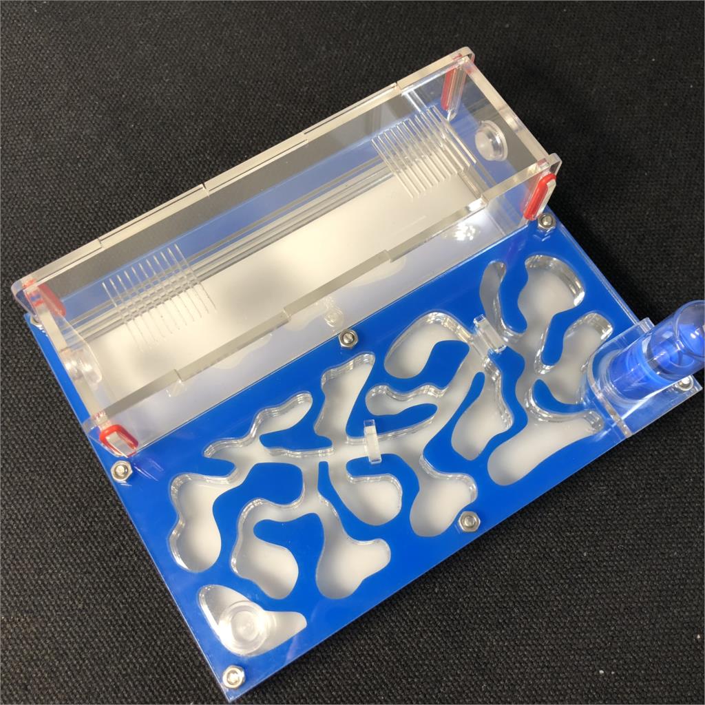 150mmx110mm test tube Moisture big space Ant Nest ,Ant Farm Acrylic, Insect ants Villa House Ants Ecological Workshop: blue