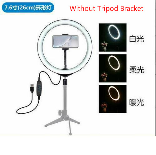 Neue USB 3 Modi Dimmbare LED Ring Vlogging Fotografie Video Lichter Studio Kamera Ring Licht Foto Telefon Video Lampe 26/30cm: Licht Grau