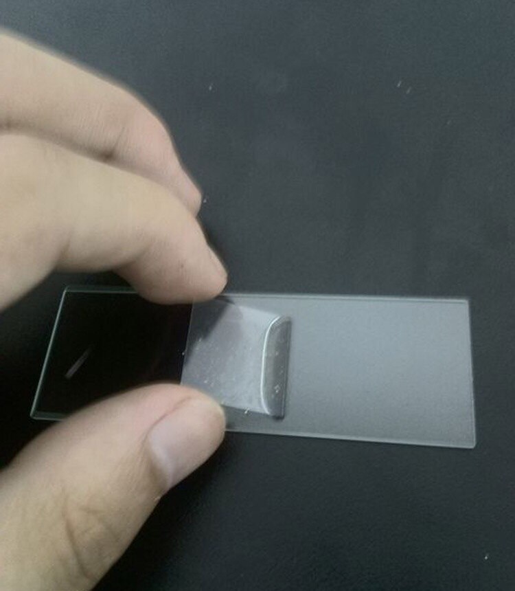 100 pcs Cover Glass for biological microscope