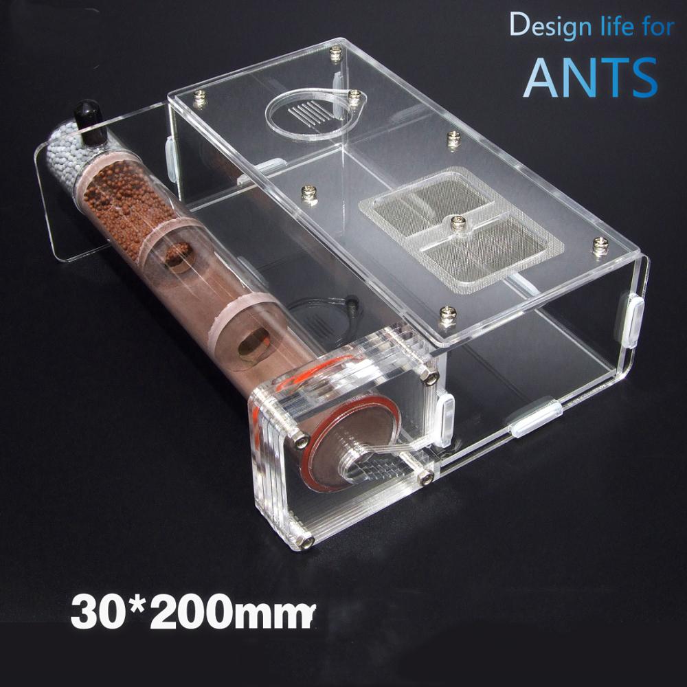 200 x 30mm bambus trækul glasrør myrer reden børn videnskab biologisk klasse abservation legetøj porcelæn sandrør myreture