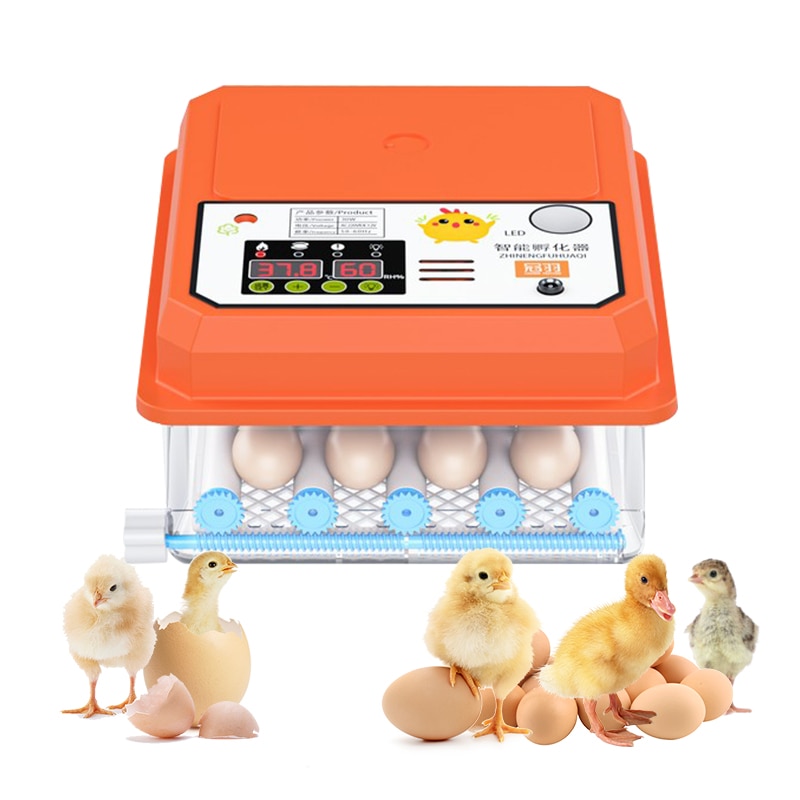 Egg rugemaskin rugekylling helautomatisk rugemaskin gård fugl vaktel gås klekkeri 16 egg rugemaskin fjærfe klekker turner