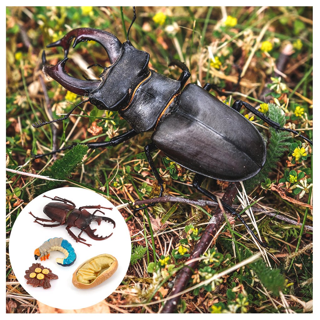 1 set spatenwurm-modell aus simuliertem kunststoff, detailgetreue insektenfiguren, interessante, naturbezogene wachstumsmodelle