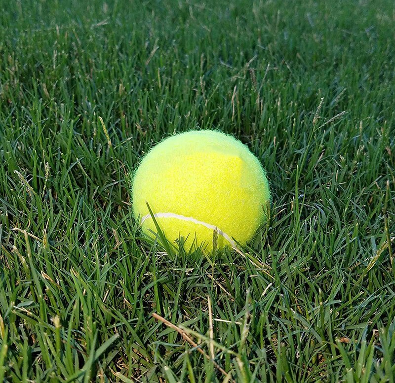 10Pcs Rubber Tennis Ball High Resilience Durable Tennis Practice Ball for School Club Competition Training