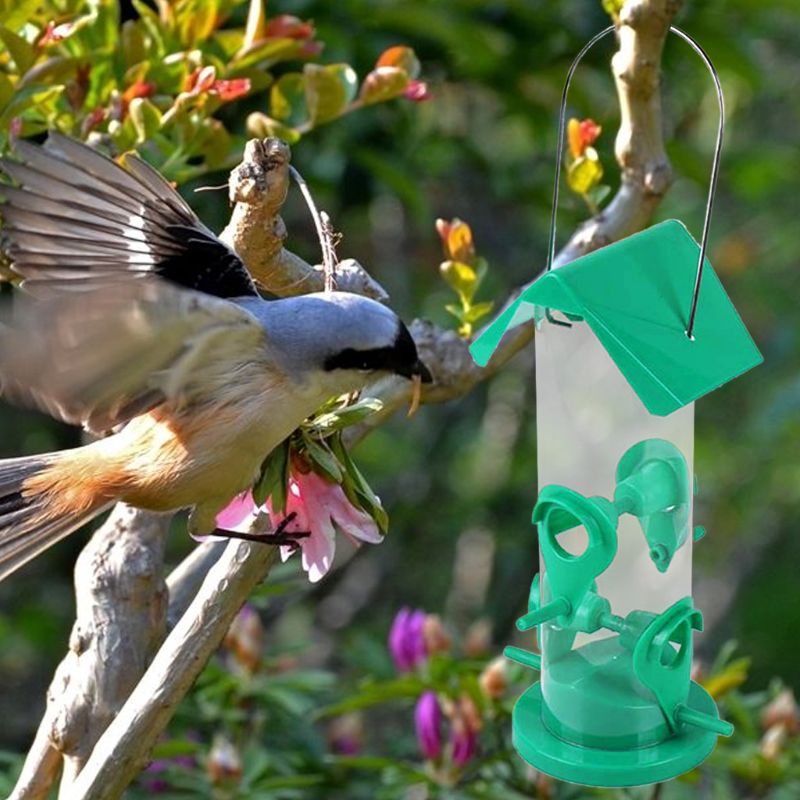 Hengende avtagbar fuglemater med fuglestativ gjennomsiktig frøbrett 95aa