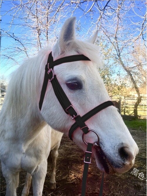 Amazing Head Collar adjustable and Comfortable For Horses: Black