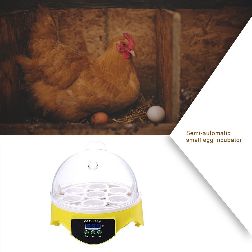7 Eggs Incubator Bird Egg Incubator Semi-automatic Miniature Egg Incubator Pigeon Household Incubators