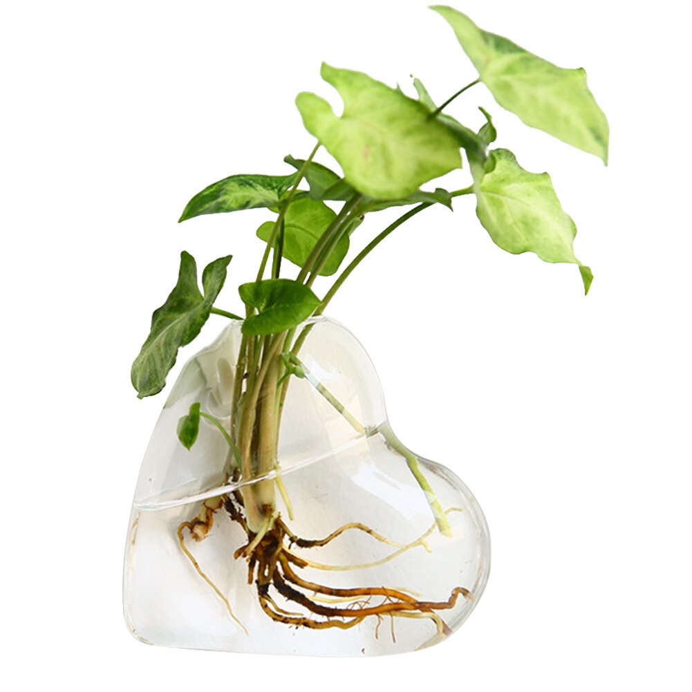 Wandhangende vissenkom glazen wandbloempot aquariumdecoratie plantenbak hyd 88