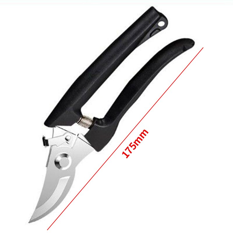 SK5 Garden Pruning Shears Tree Trimmers Secateurs Diameter Fruit Trees Branches Bonsai Flower Cultivating Easy Pruners Scissors: Gold
