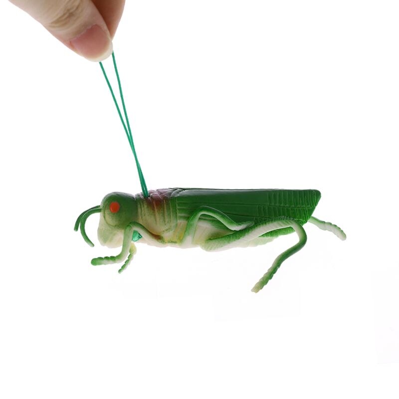 1 Pc Halloween Insekten Heuschrecke Modell Figuren freundlicher freundlicher Entwicklungs Wissenschaft Spielzeug Neue Heiße