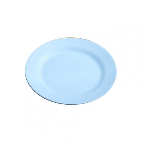 Reusable Attractive Anti-slid Base Easy Clean Food Plate Portable Food Plate Stackable for:  Blue 25cm