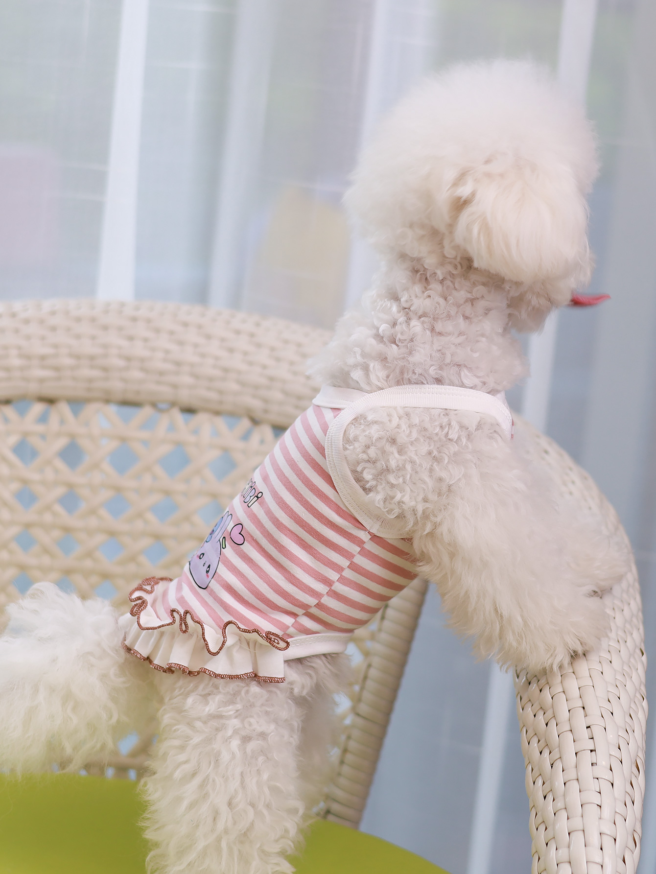 Dog vest, summer breathable thin material pet clothing, summer style Schnauzer, Yorkshire small and medium-sized dog vest Dress