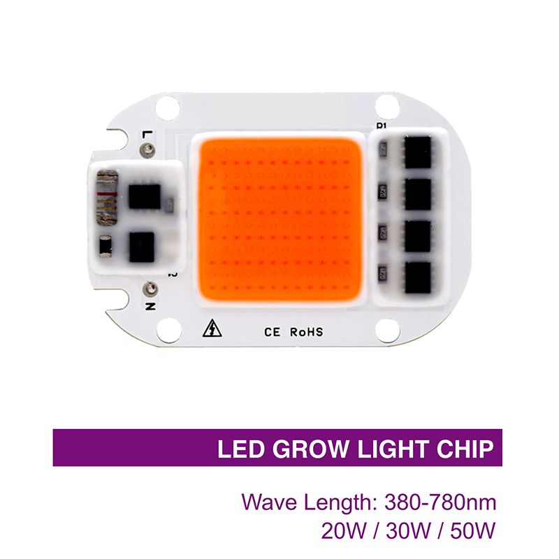 10pcs Hydroponice AC110V 220V 20W 30W 50W COB LED Grow Light Chip Volledige Spectrum Dag warm Wit Voor Indoor Plant Zaailing Groei