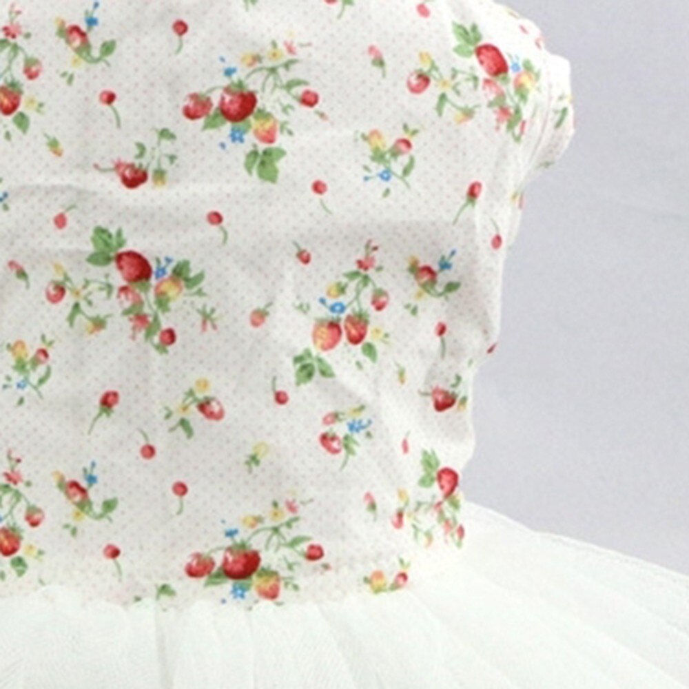Zomer Hond Jurk Kant Tullle Pet Kleding Voor Kleine Honden Party Wedding Strik Jurken Puppy Kostuum Lente Huisdieren Kleding