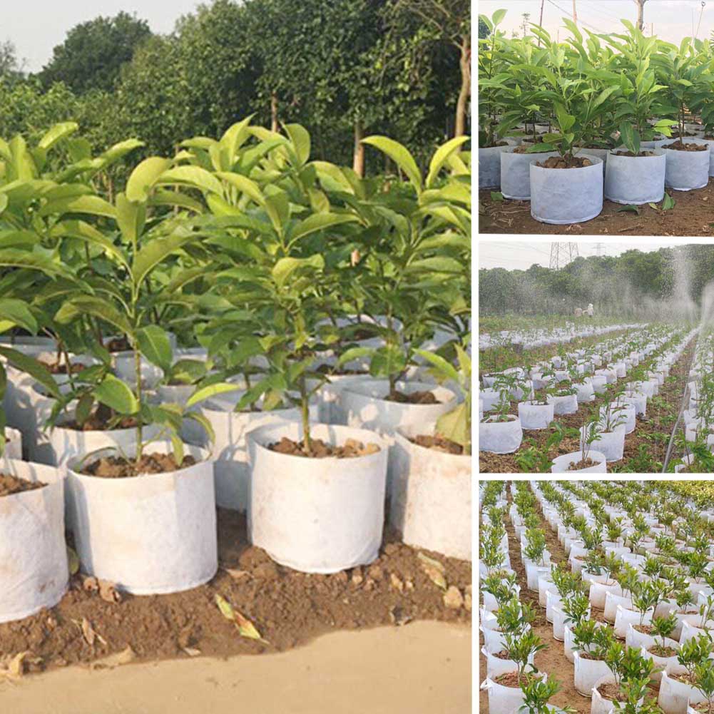 Thickened Non-woven Planting Bag Plant Breeding Bag Home Garden Supplies