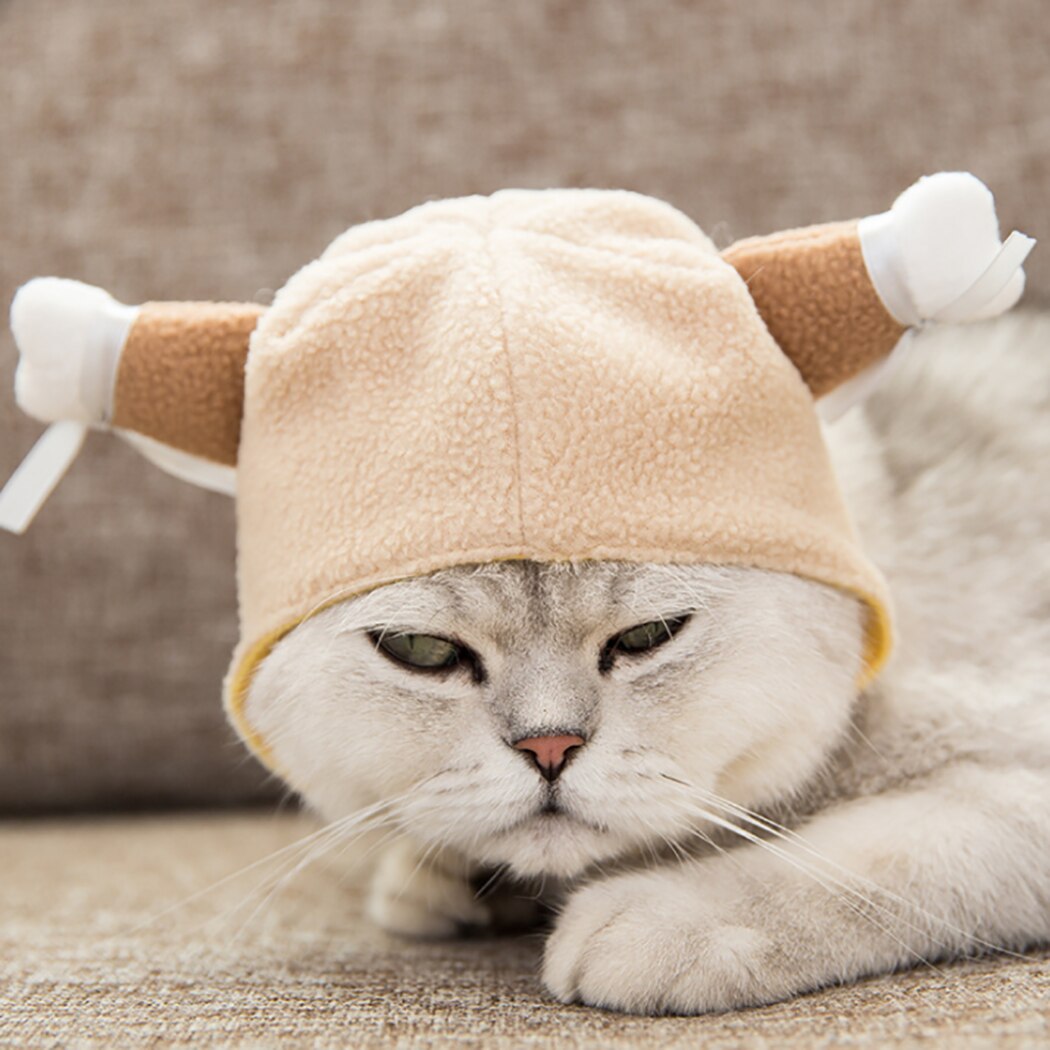 Chapeau et amusant pour chien et chat, Costume pour animal de compagnie, accessoire de déguisement, accessoire de fête: Drumstick