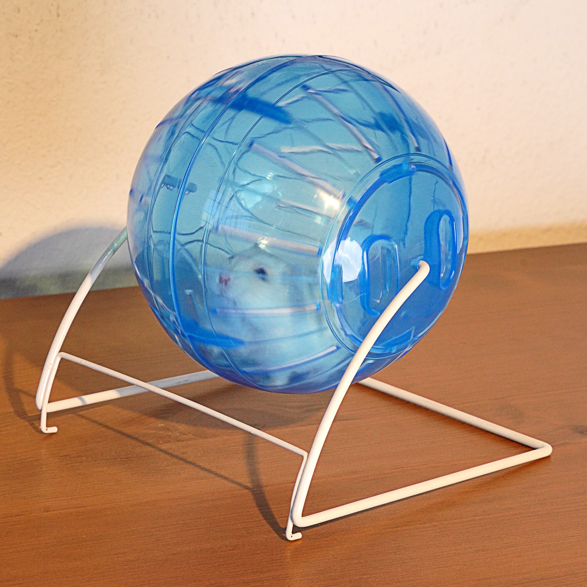 Bola de Ejercicio de hámster con Soporte 11.5cm (Color Aleatorio) Rueda de Ejercicio Multifuncional Animales Pequeños para Hámster Sirio Hámster Enano Ratones Jerbos Seda Dorada Oso Shih Tzu
