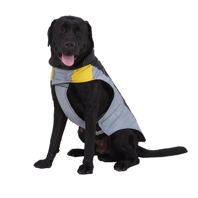 BDTHOOO ropa para perros pequeños abrigos cálidos para perros de invierno chaqueta ropa para perros ropa de abrigo de invierno mascota chaleco