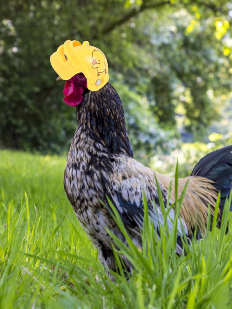 Pet Helmet Funny Chicken Helmet Head Protection Compact Chicken Hen Hard Hat