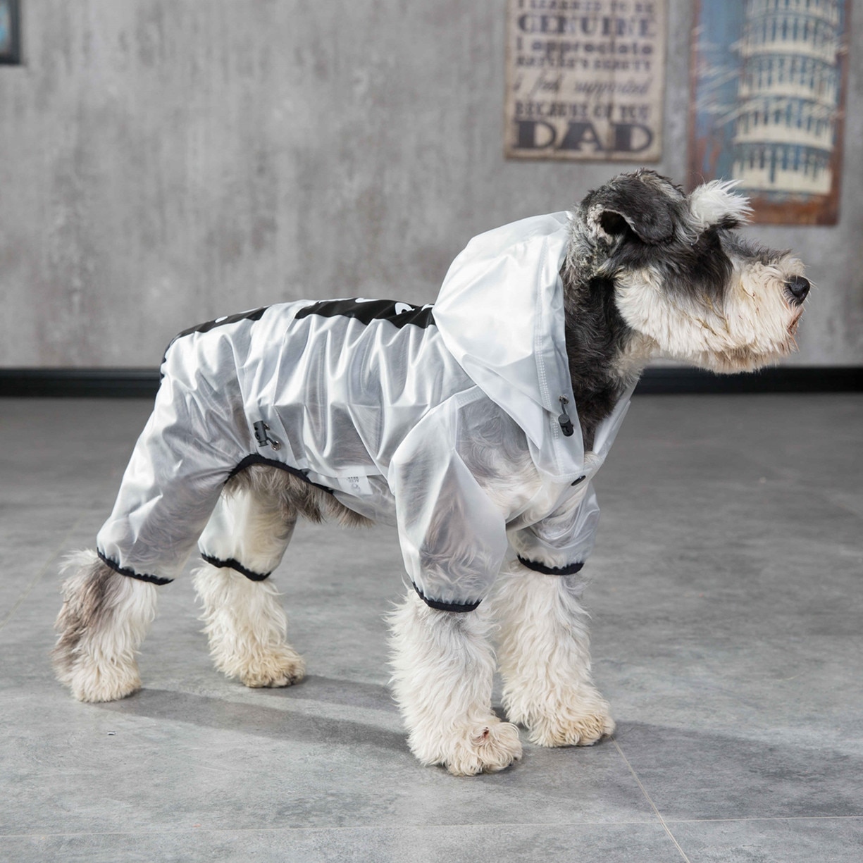 Hond Regenjas Hooded Regen Pak Voor Hond Doorschijnende Regenjas Hond Regenjas Hood Voor Kleine Honden Chihuahua Yorkshire