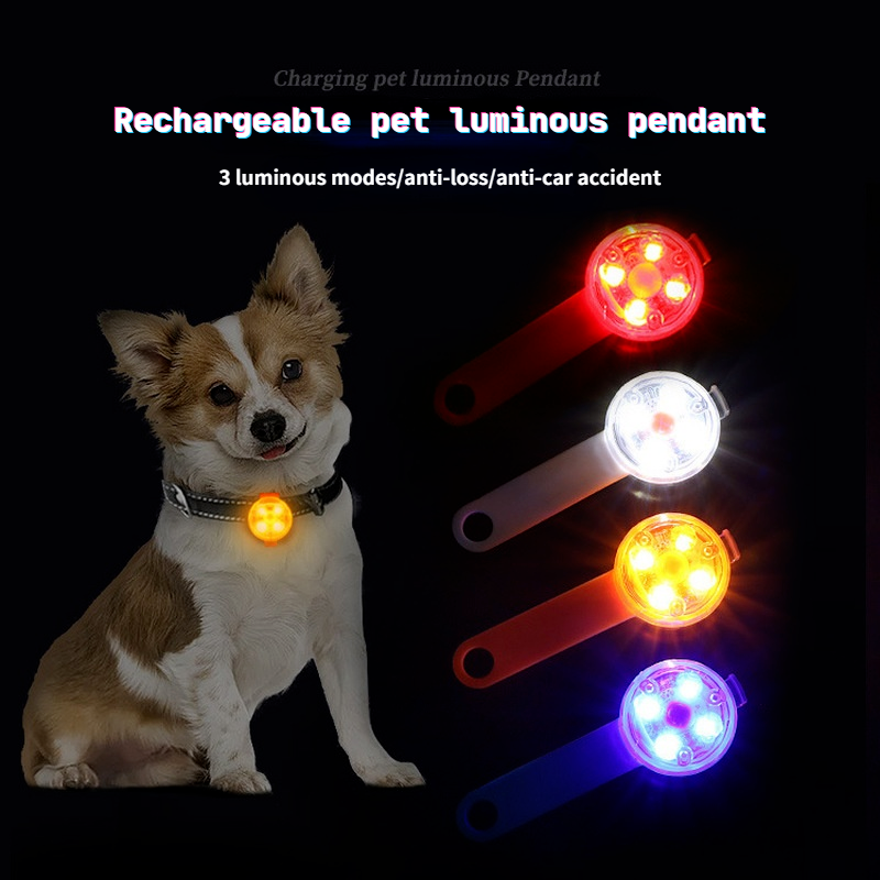 Collier lumineux LED avec chargeur USB pour chien, pendentif de nuit, accessoires Anti-perte, étiquette lumineuse pour chien