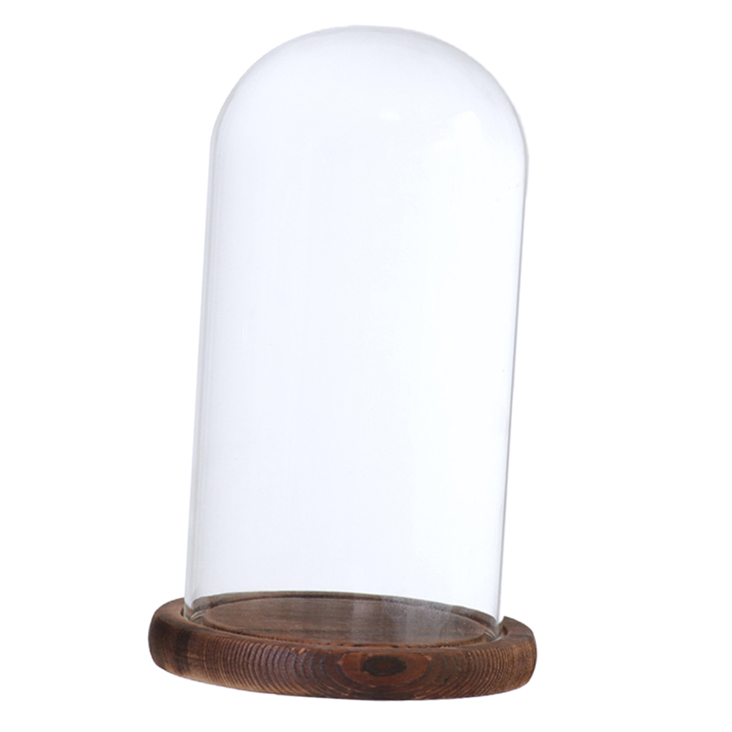 Træbund glas cloche kuppel dæksel display centerpiece bordplade dekoration glas kuppel med base: Brun d