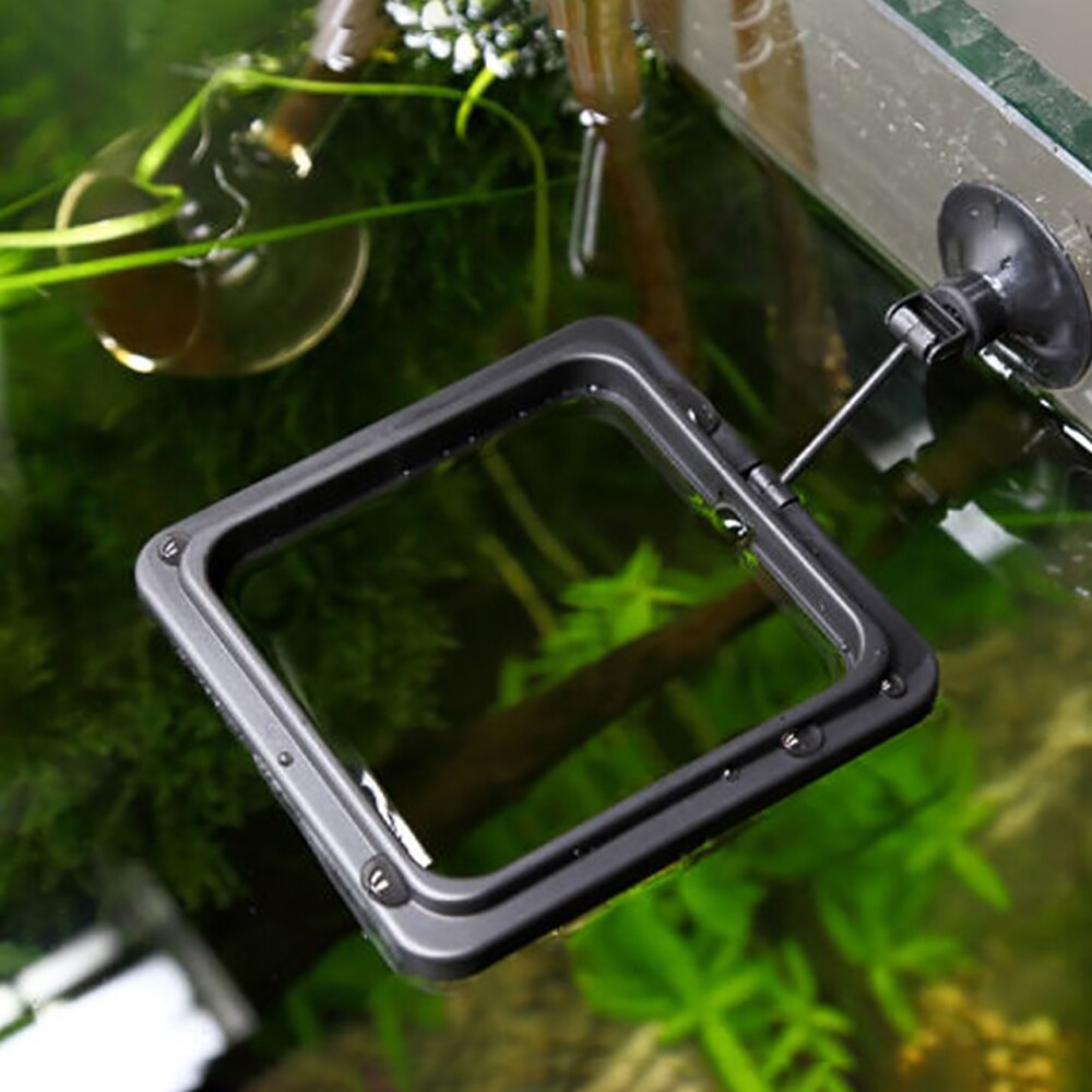 Fisk foderring akvarium tilbehør akvarie fisk sikker flydende foder feeder cirkel sugekop til guppy, betta, guldfisk osv.