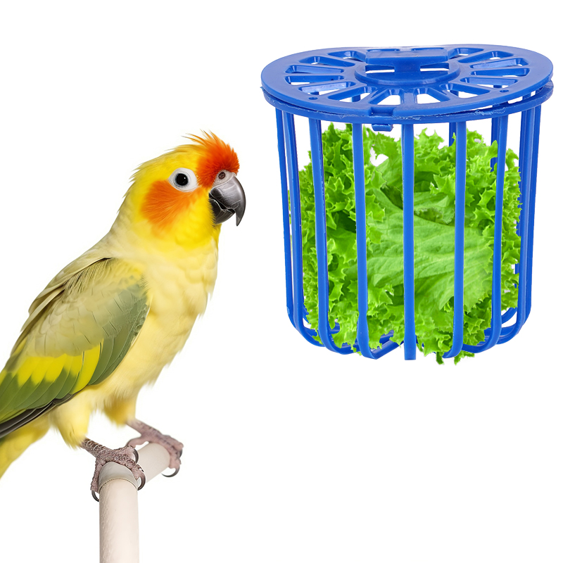 Cesta alimentadora de loros, soporte para percha de frutas y verduras, suministros para aves, contenedor de frutas y verduras, suministros de alimentación para mascotas, 1-5 uds.