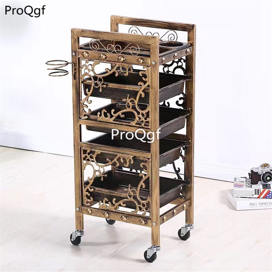 Prodgf 1 Stuks Een Set Verwijderbare Kapsalon Trolley: 21