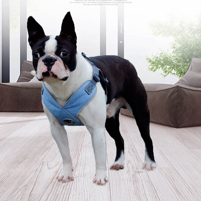 Reflective Dog Collar Harness For Small Medium Dogs Padded Harnesses Vest Puppy Dog Chest Strap Chihuahua Pug Pet Supplies 25