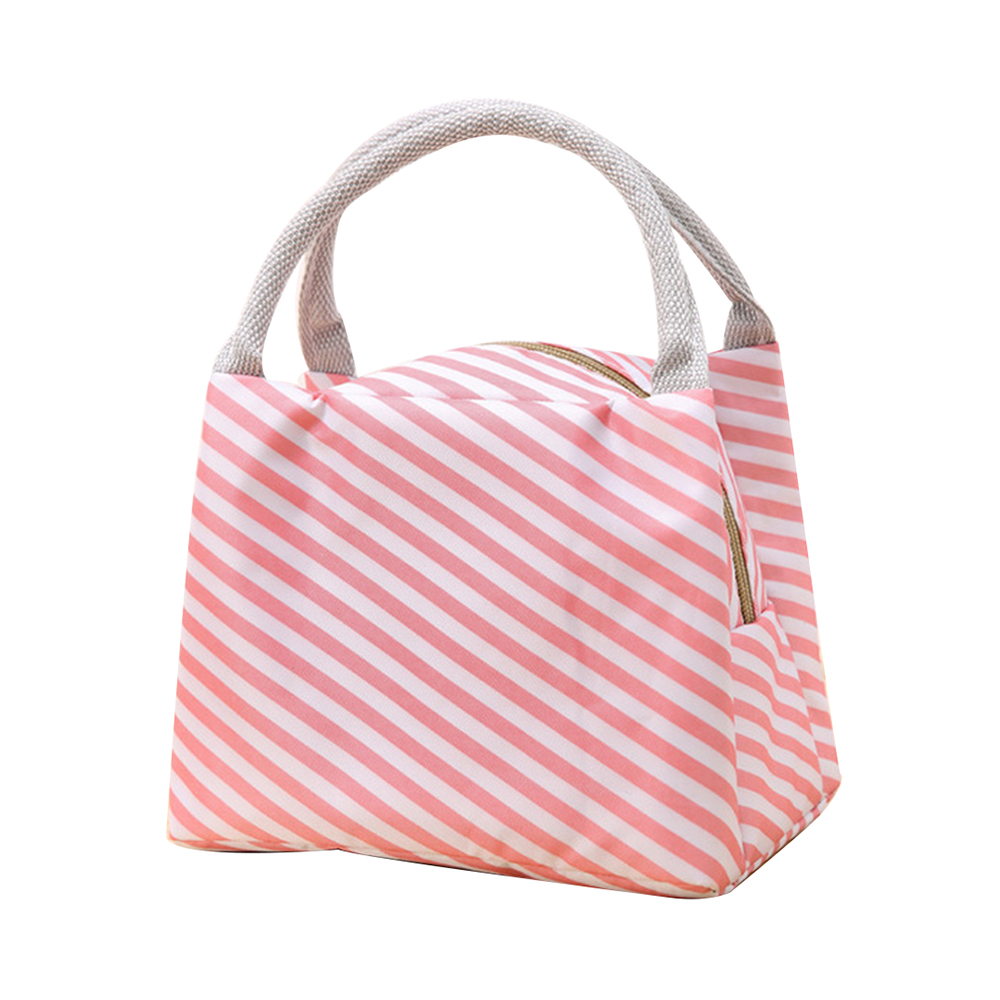 Functional Pattern Cooler Lunch Box Portable Insulated Canvas Bento Lunch Bag Thermal Food Picnic Lunch Container for Women Kids: Pink stripe