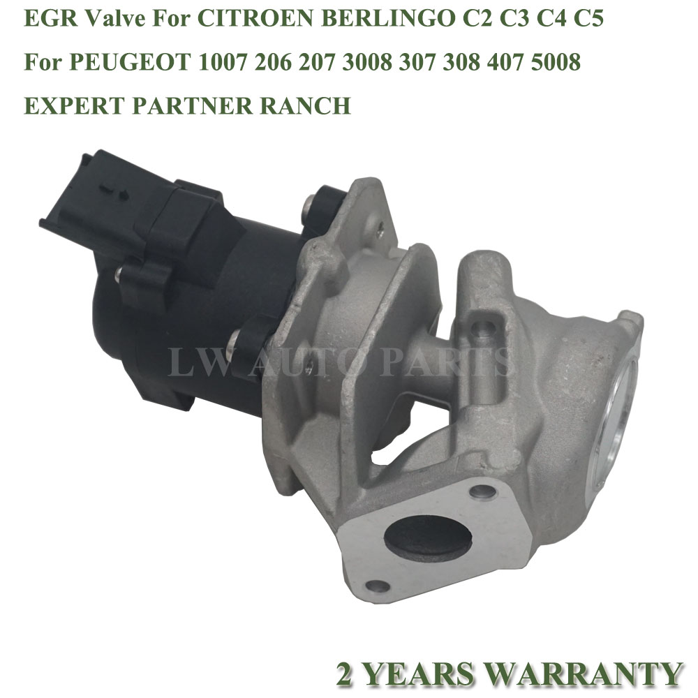 case For Peugeot 206 207 307 308 407 1.6 HDI EGR Valve 1618NR 161859 6NU010171-101 1618.59 9685640480 1618NR 1338675 5S6Q9D475AA