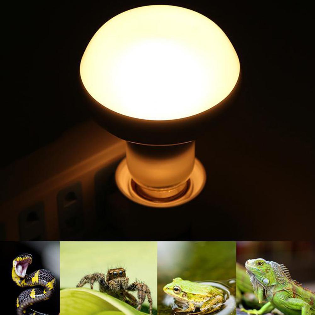 220V Reptiel Gloeilamp Verwarming Lamp Vivarium Terrarium Schildpad Snake Huisdier Verwarming Lamp Temperatuur Controller