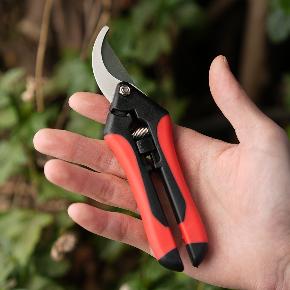 Mini Gardening Scissors for Pruning, Fruit Pruning, Pruning, Grape Picking, and Gardening Tools: Silver