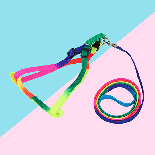 Huisdier Aangelijnd Kit Kleurrijke Borst Terug Trekkabel Mode Regenboog Hond Keten Zachte Puppy Leash: Default Title